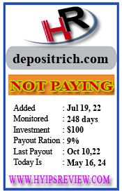 depositrich.com details image on Hyips Review